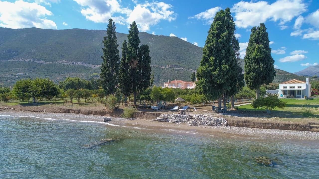 Villa Maria Epidaurus المظهر الخارجي الصورة